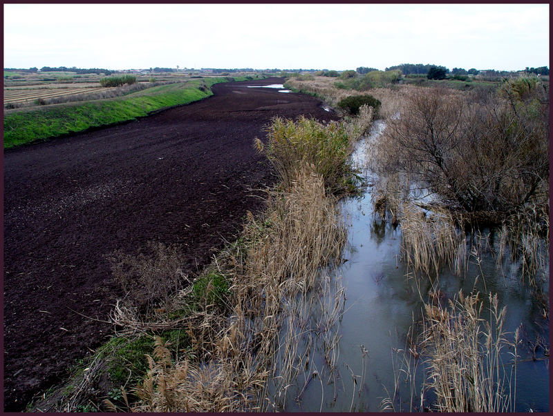 Il profumo della terra