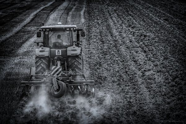 il Profumo della terra smossa