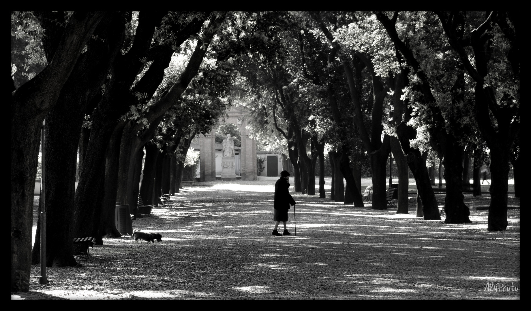 il racconto di un viale