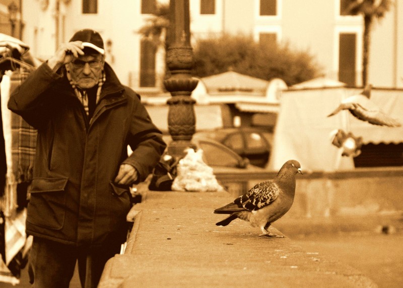 Il re delle piazze