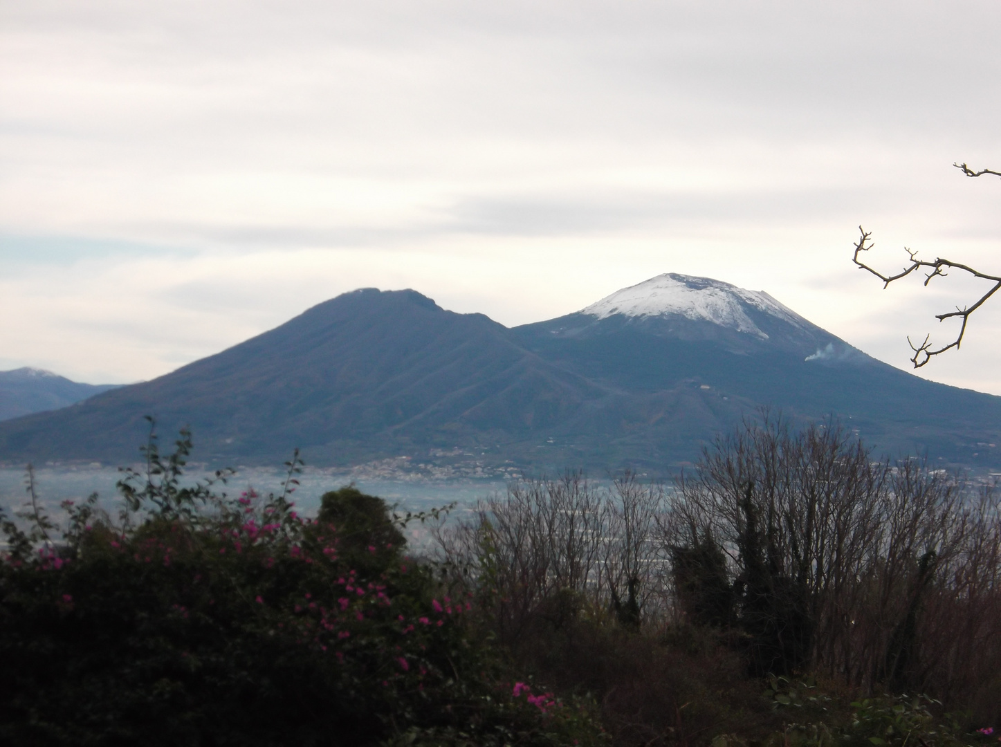 ..."il re di Napoli"...