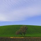 "Il respiro della campagna" -- "The breath of the countryside"