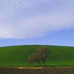 "Il respiro della campagna" -- "The breath of the countryside"