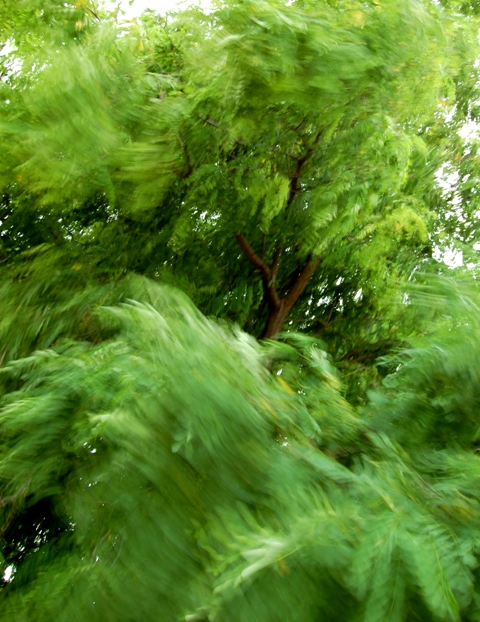 il respiro della Terra