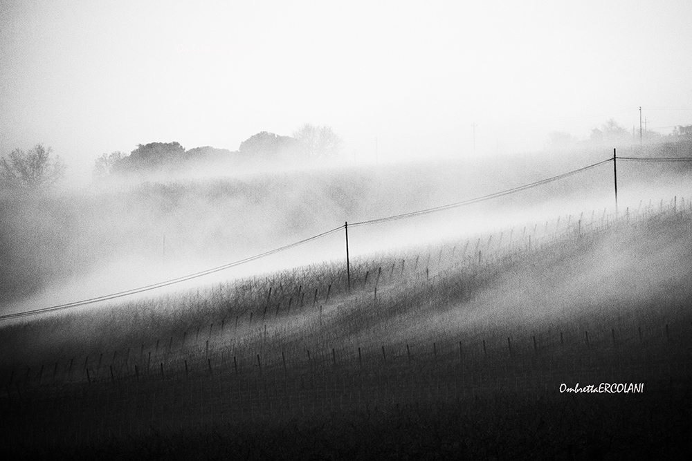 Il respiro della terra