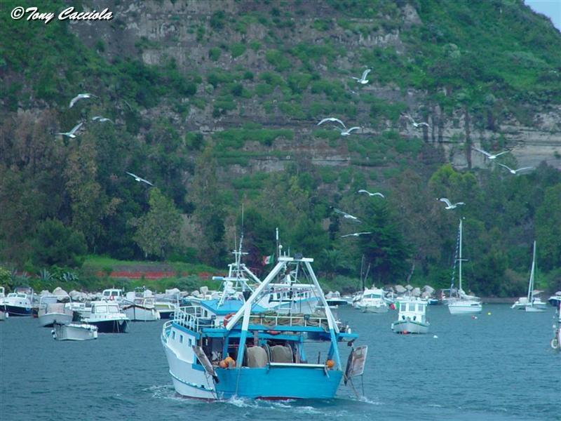 IL RIENTRO DEI PESCATORI