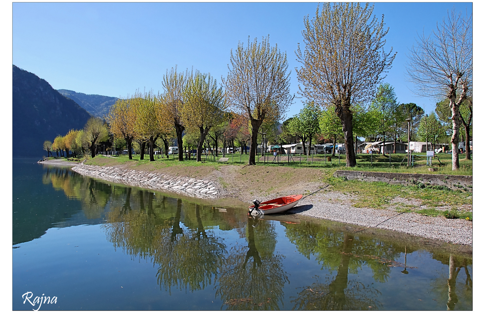 IL RIFLESSO DEGLI ALBERI