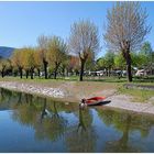 IL RIFLESSO DEGLI ALBERI