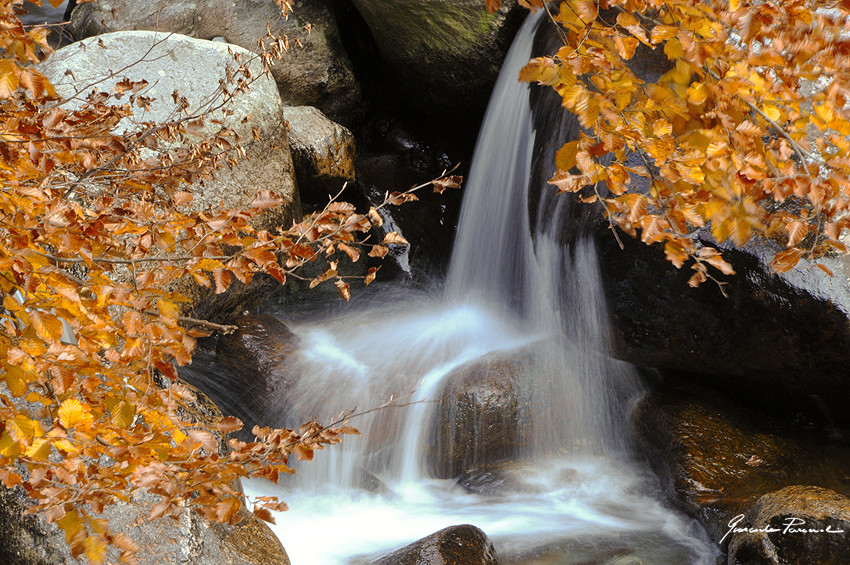 Il rio Pogallo d'autunno.