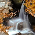 Il rio Pogallo d'autunno.