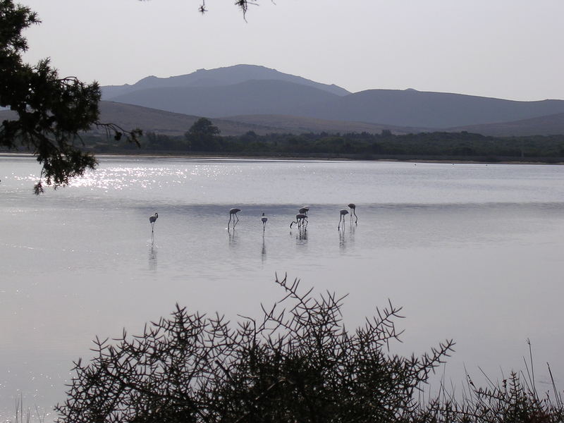 Il risveglio della natura ...