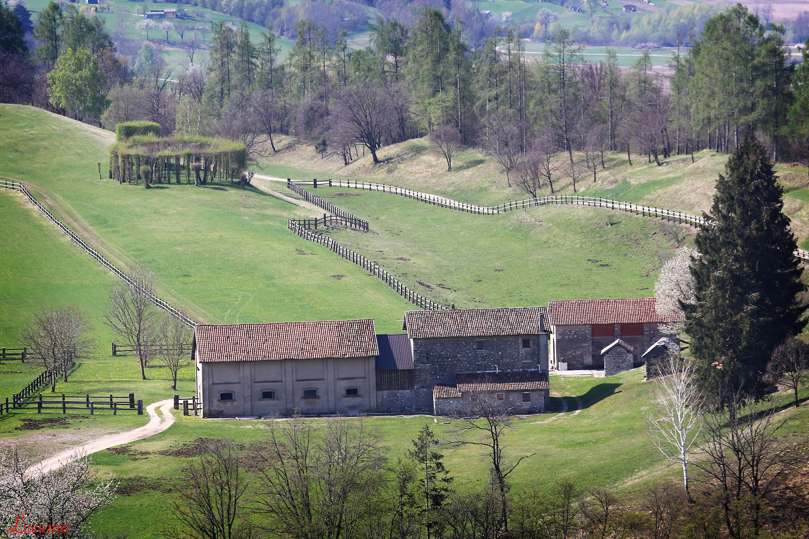 il Rocolo