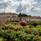 Il roseto della Villa Reale di Monza