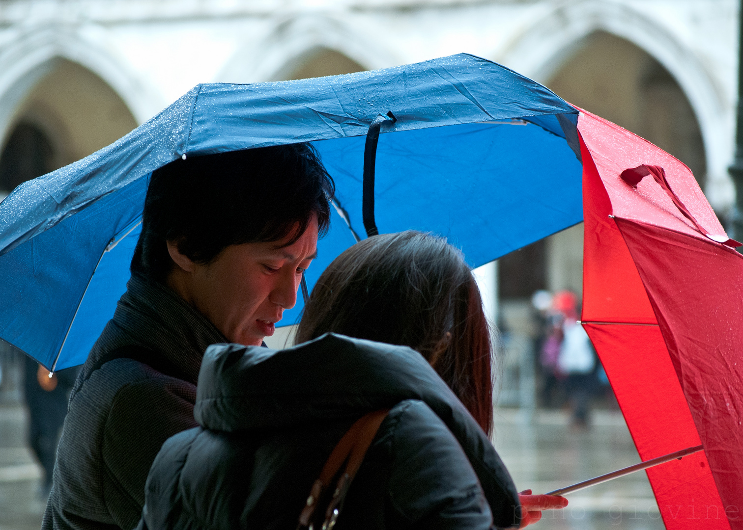 il rosso e il blu.