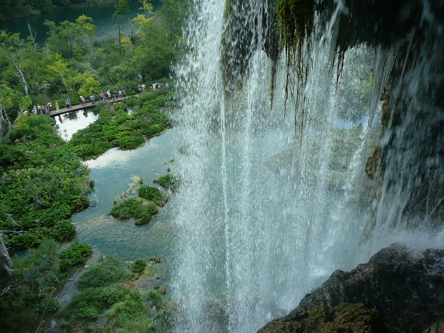 ..il rumore della natura..