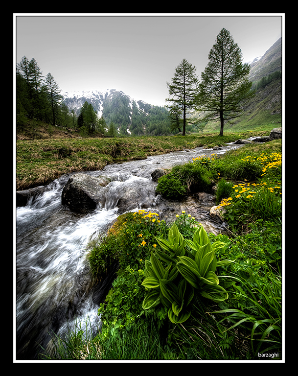 il ruscello di montagna