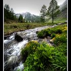 il ruscello di montagna