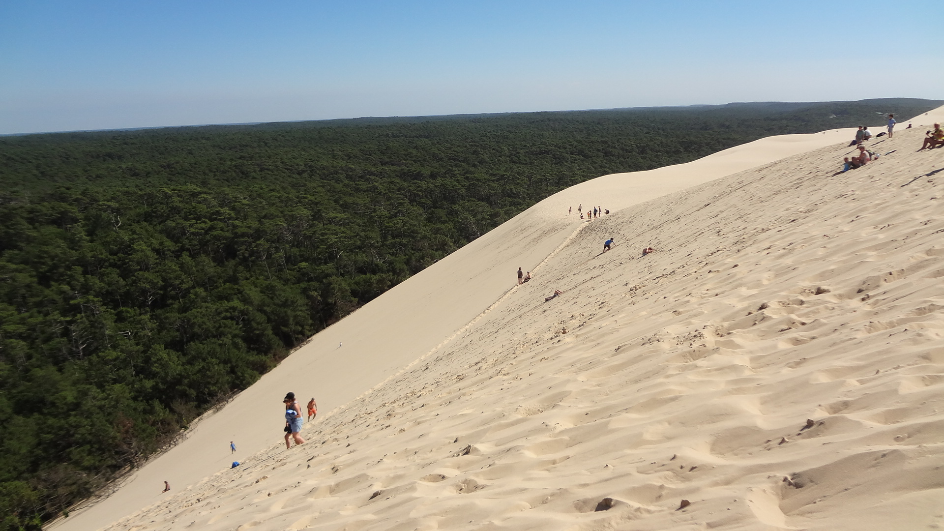 Il "Sahara" francese