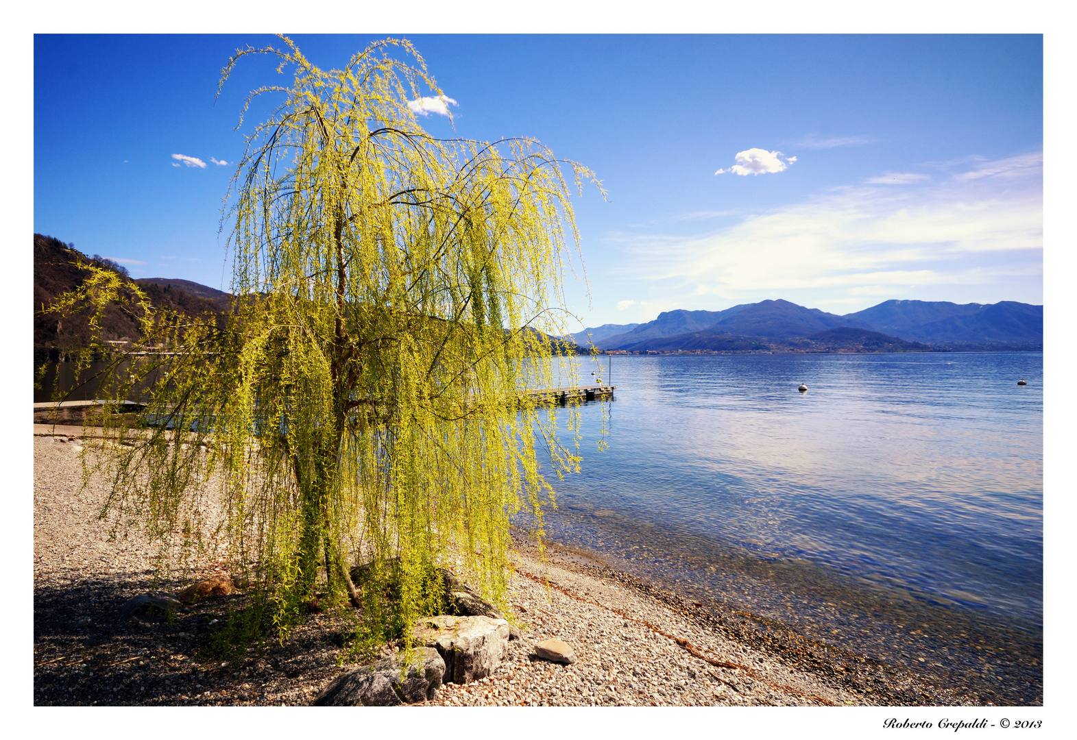 Il salice e il lago, da Maccagno