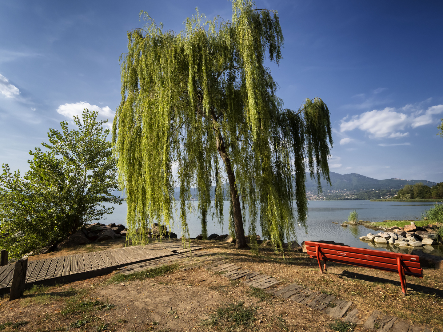 Il salice, lago di Piazza