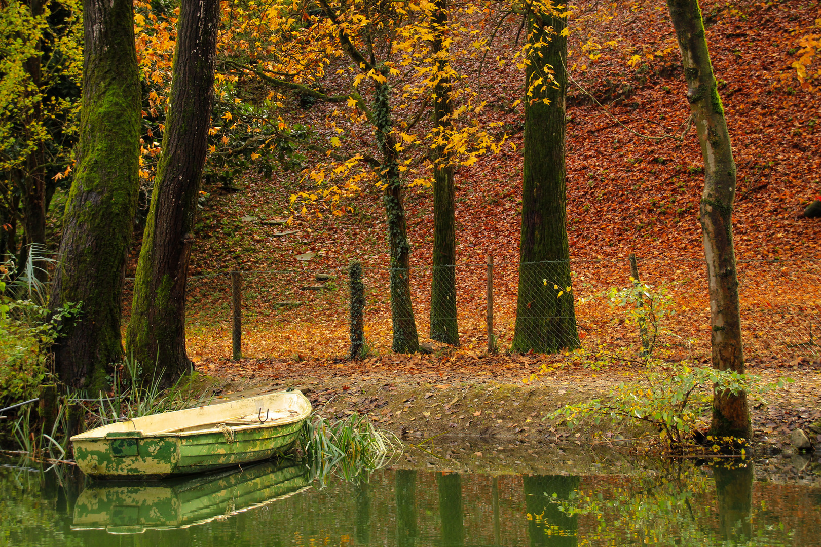 il sentiero del lago