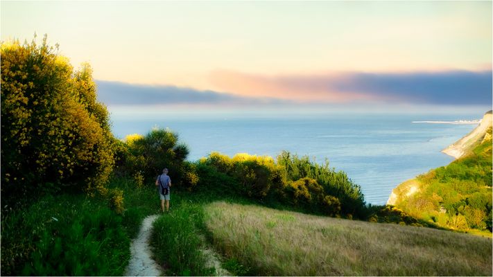Il sentiero delle ginestre.