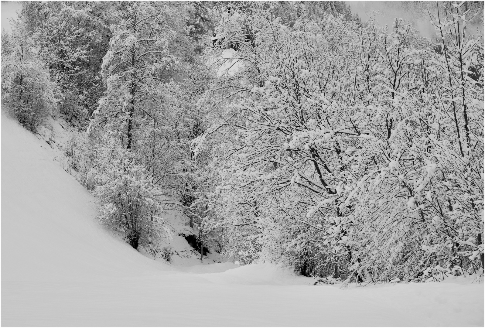 Il sentiero innevato.