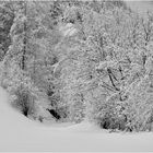 Il sentiero innevato.