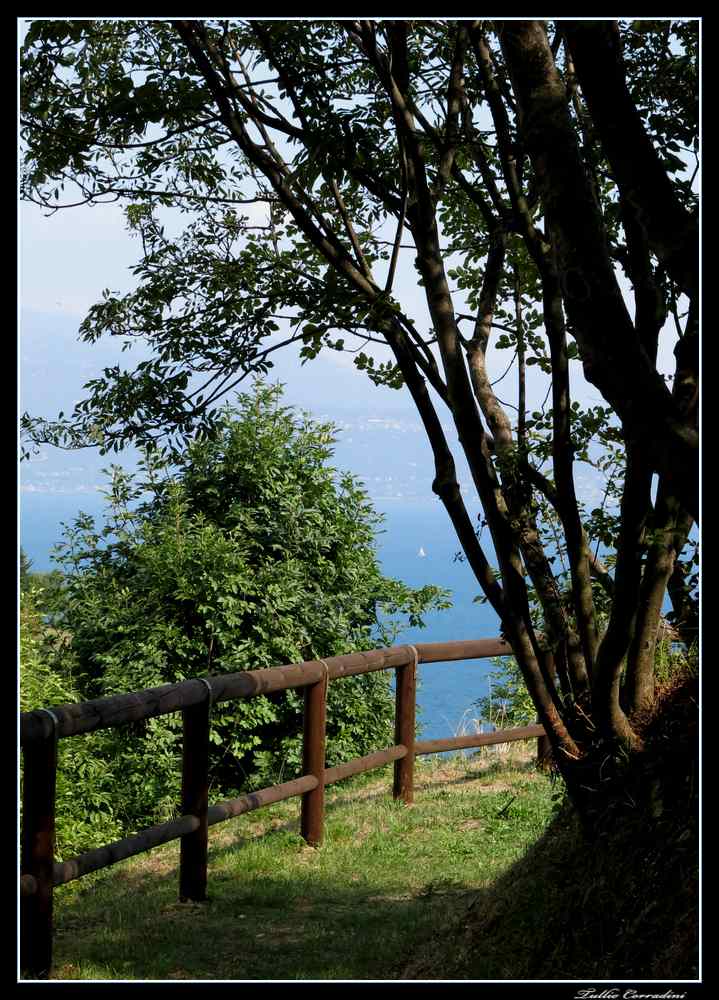 ..il sentiero sul lago..