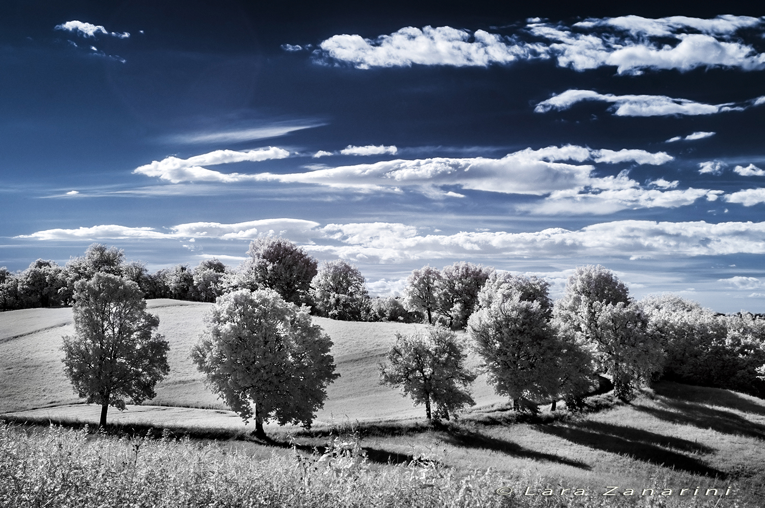 il sentiero verso il blu