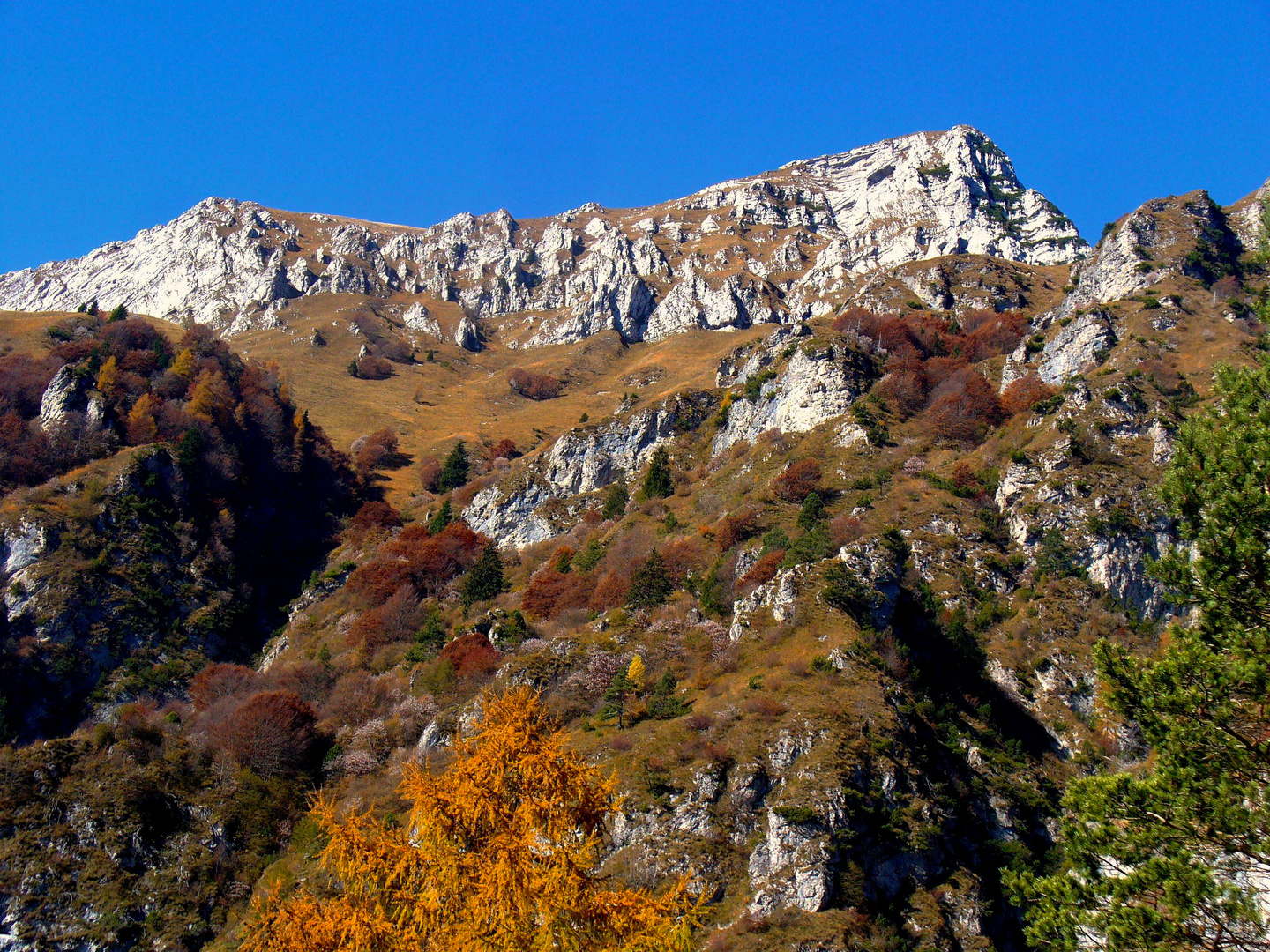 il Serva Dolomiti Bellunesi