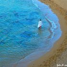 " il silenzio del mare "