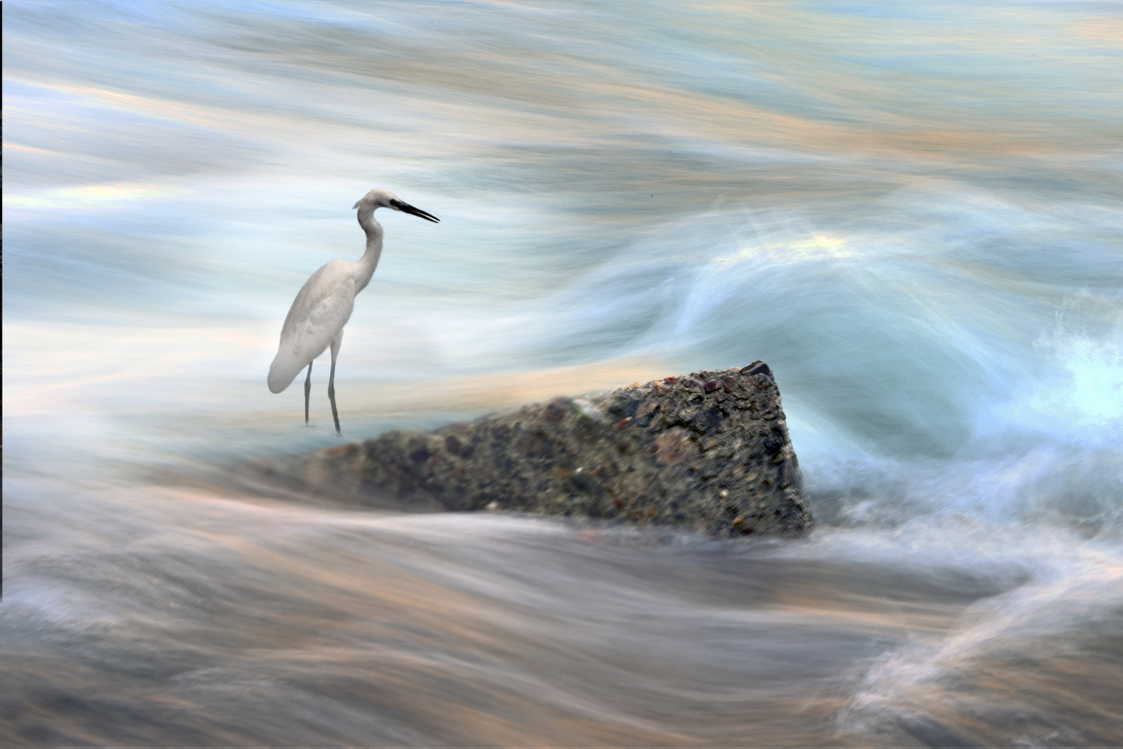 Il Silenzio della Natura.........