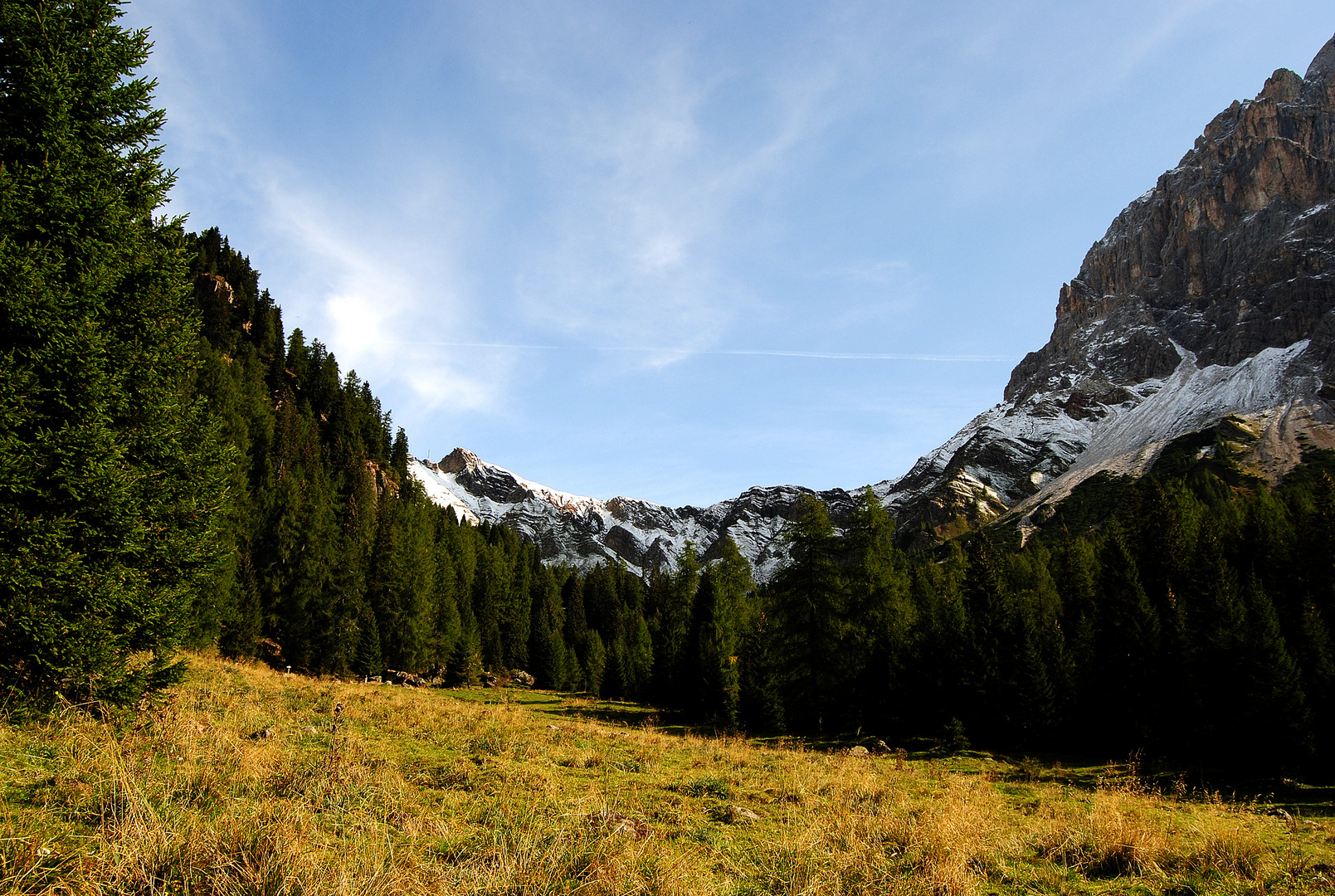 il silenzio della natura