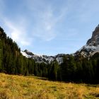 il silenzio della natura