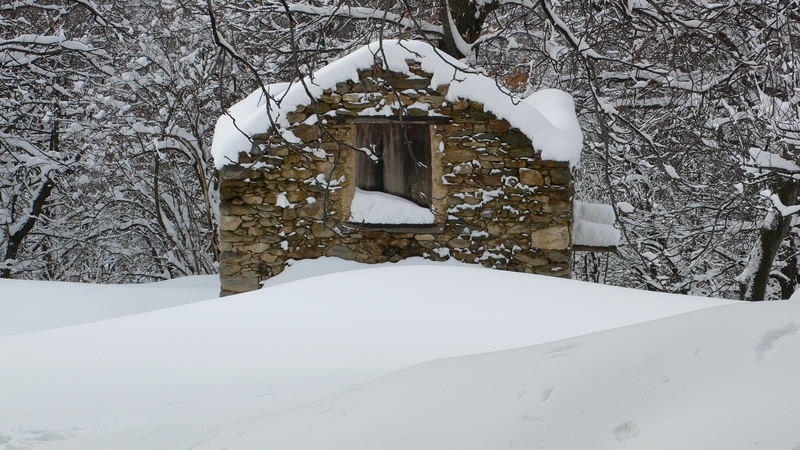 IL SILENZIO DELLA NEVE