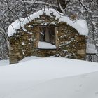 IL SILENZIO DELLA NEVE