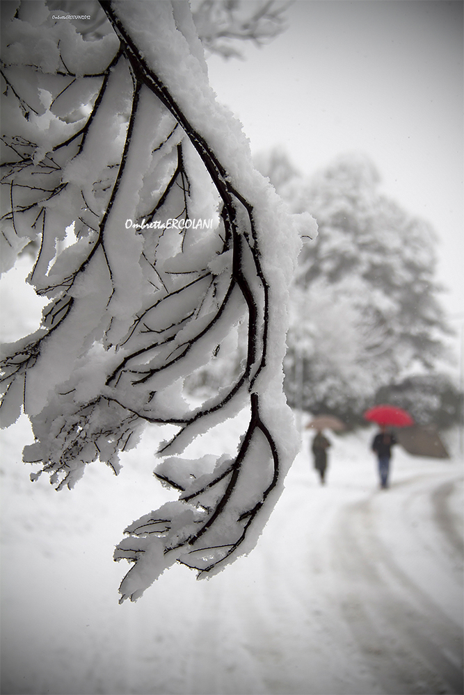 Il silenzio e l'odore della neve