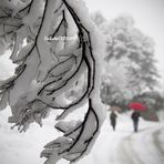 Il silenzio e l'odore della neve