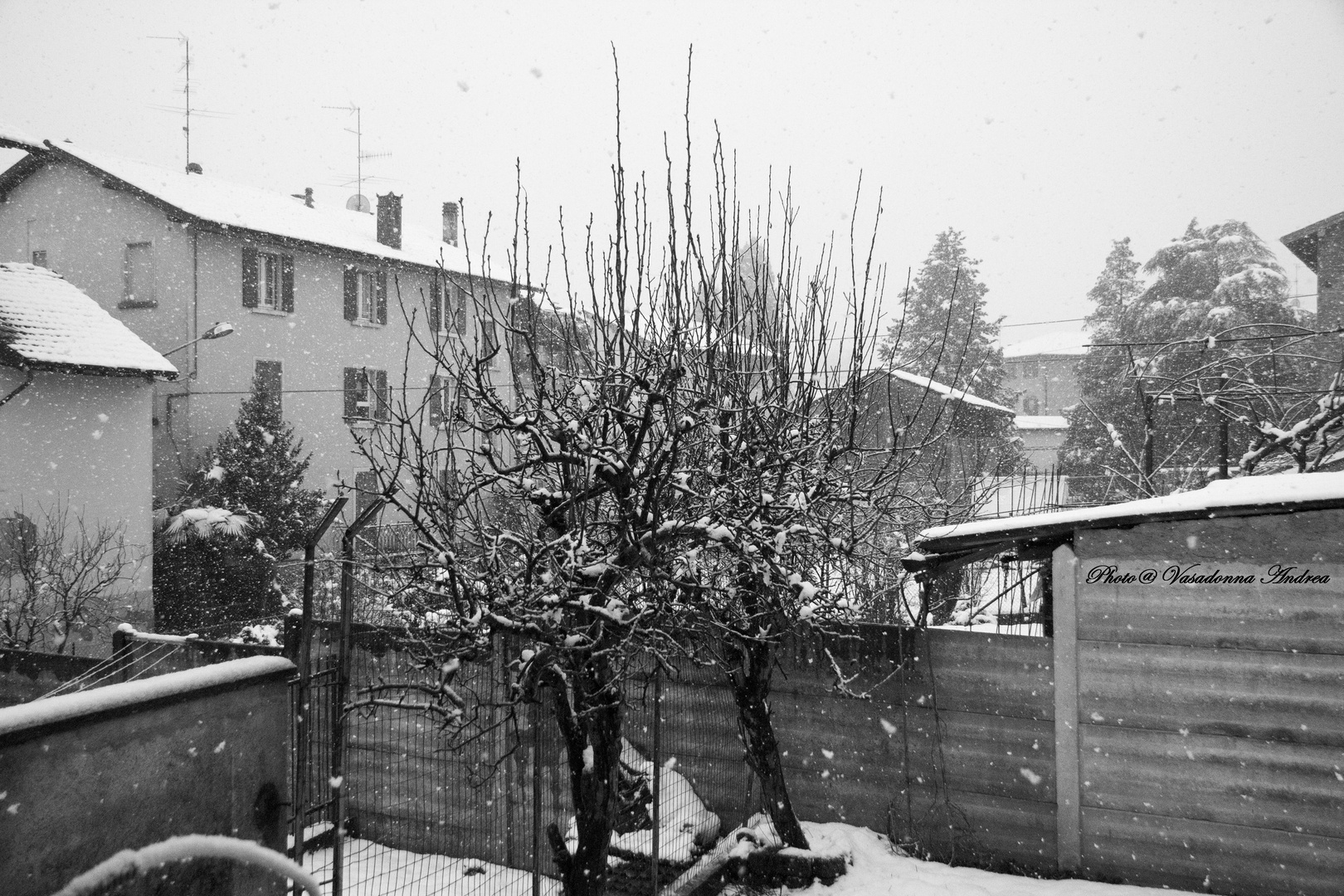 Il silenzio, la tranquillità... La Neve