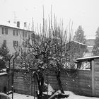 Il silenzio, la tranquillità... La Neve