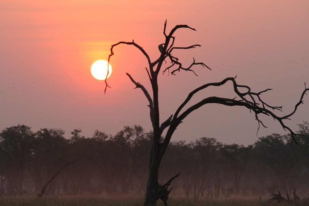 Il sole al tramonto della Moremi G.R.