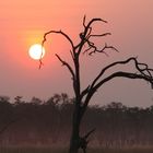 Il sole al tramonto della Moremi G.R.