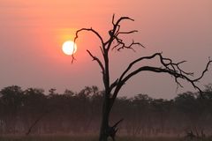 Il sole al tramonto della Moremi G.R.