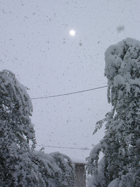 il sole che fa l' occhiolino alla neve (2007)