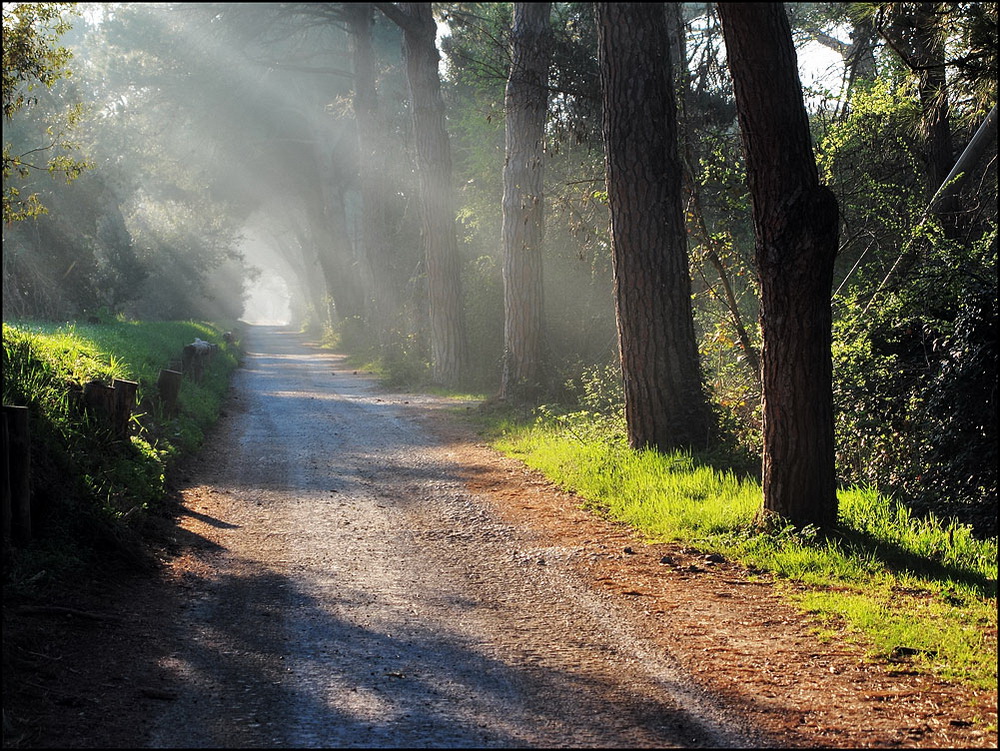 Il sole del mattino