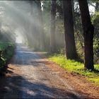 Il sole del mattino