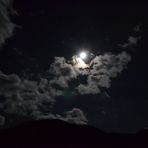 Il sole della notte