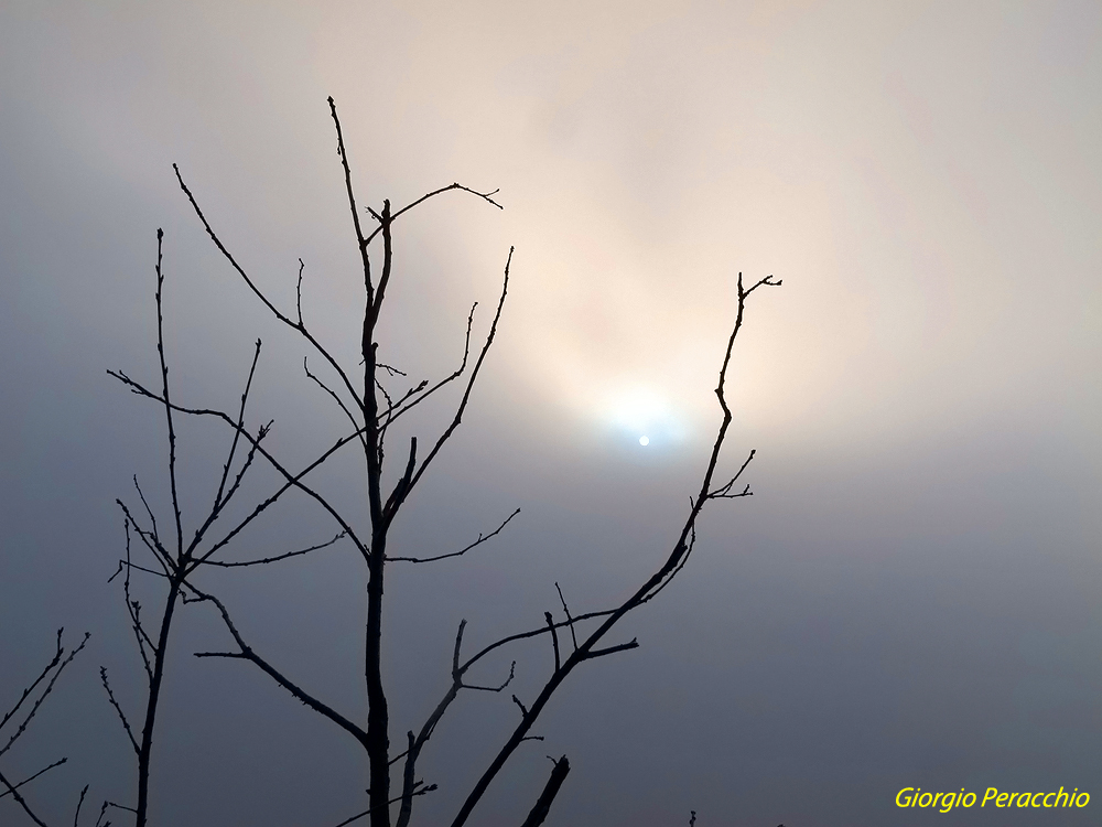 Il sole filtra già....