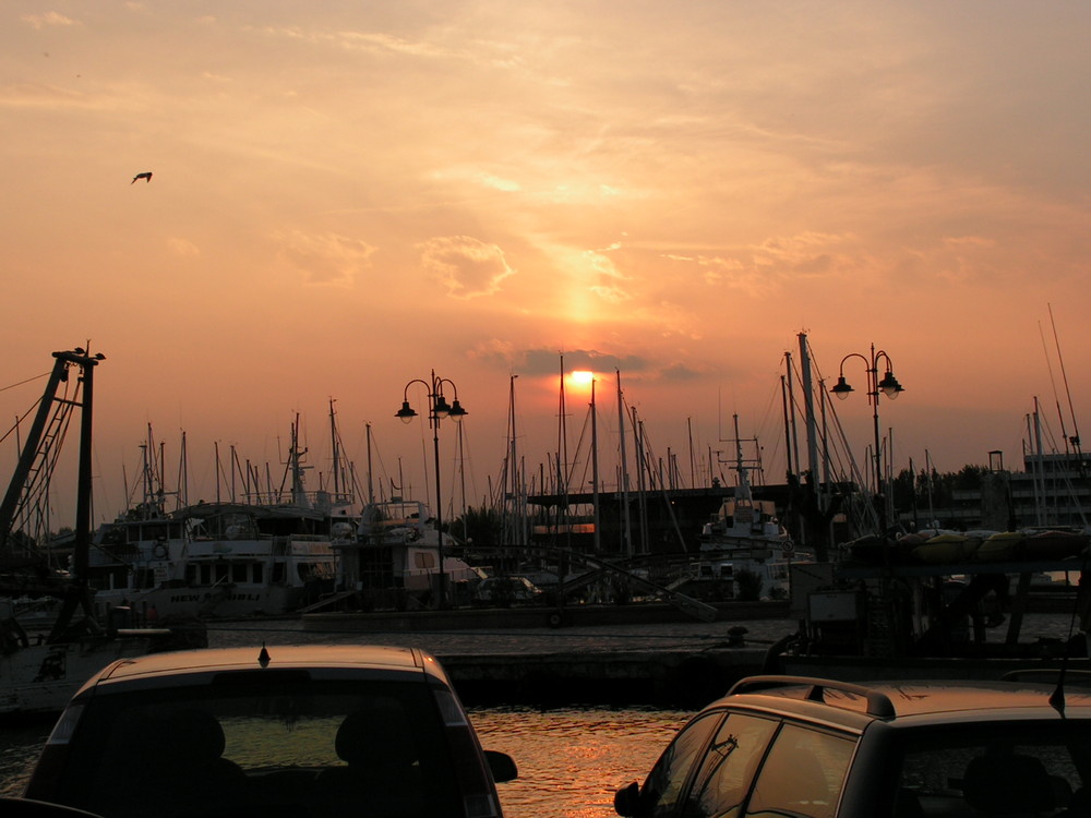 il sole tramonta fra gli alberi